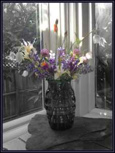 One in a series of black and white photo edits