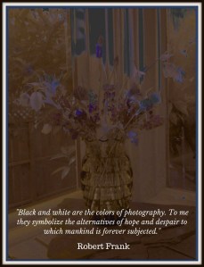 BW with Robert Frank Quote