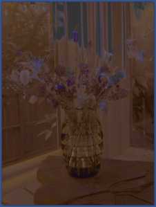 One in a series of black and white photo edits