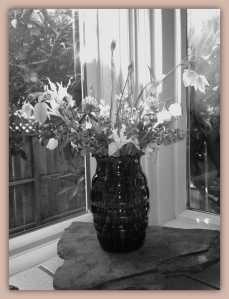 One in a series of black and white photo edits